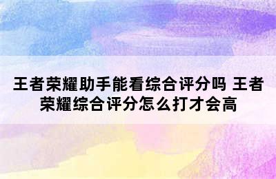 王者荣耀助手能看综合评分吗 王者荣耀综合评分怎么打才会高